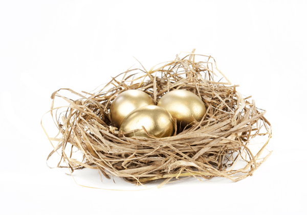 Retirement Planning - Nest Egg