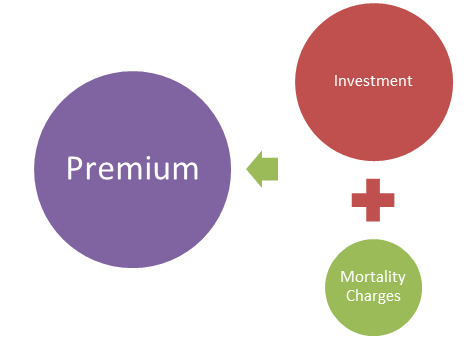 ULIP Premium