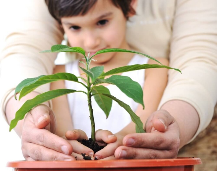 Planting a plant (1)-1